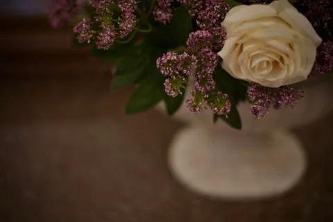 Blurred dark background image with artificial colors in the vase, focusing on Foto stock