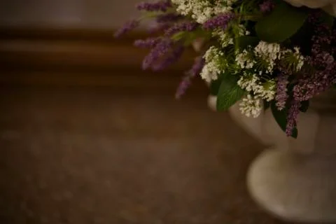 Blurred dark background image with half artificial colors in the vase, right. Stock Photos