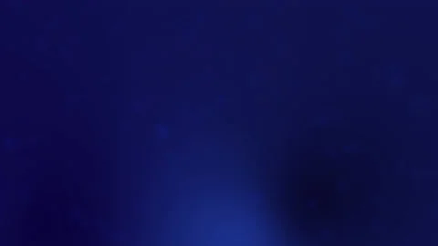 Blurred dark blue background for your business. Stock Footage 149150764