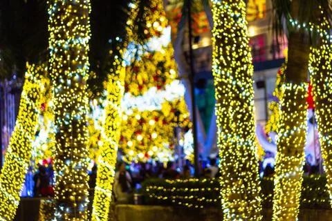 Blurred Decorative outdoor string lights hanging on tree Photos