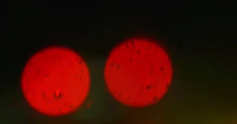 Blurred defocus, rear red car light at heavy rain. Stock Footage 240355340
