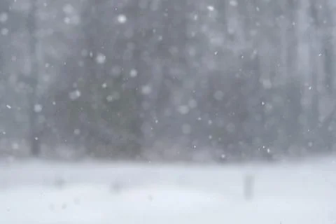 Blurred defocused background of Heavy snowfall. Beautiful forest landscape of Illustrazione stock