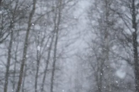 Blurred defocused background of Heavy snowfall. Beautiful forest landscape of Stock Illustration