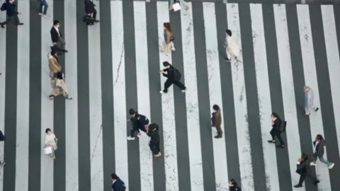 Blurred defocused of Elevated view of Japanese people crossing road intersection Stock Footage 276344860