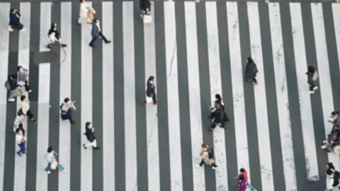 Blurred defocused view of Elevated view of Japanese people crossing Stock Footage 314466047