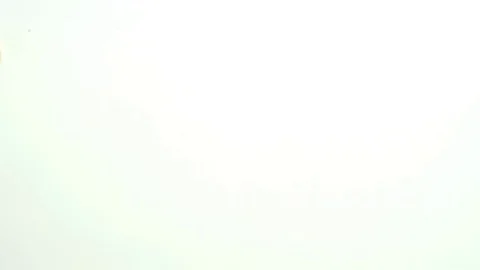Blurred dehydrated garlic on white background Stock Footage 83191941