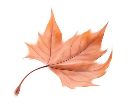 Blurred dry autumn leaf Stock Illustration