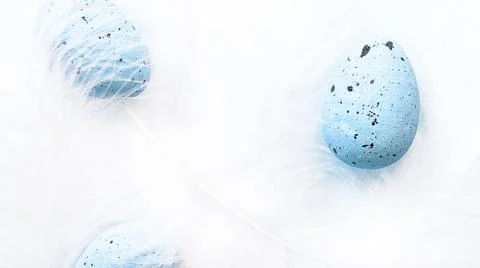 Blurred Easter minimal composition with Blue eggs and White feathers Stock Photos