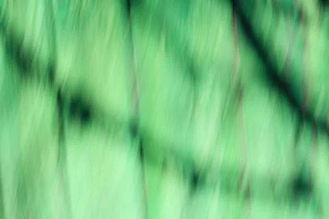 Blurred effect green color background with tree shadows silhouette Stock Photos