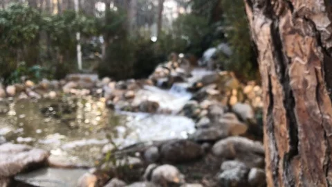 Blurred effect, a medium decorative waterfall with green plants in the forest Stock Footage 123141861