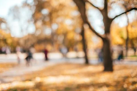 Blurred fall park Stock Photos