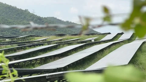A blurred fence frames angled solar panels that follow uneven terrain while calm Stock Footage 324625046