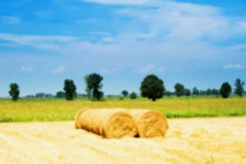 Blurred field Stock Photos