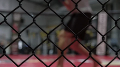 Blurred fighter training punches during workout behind net fence on professional Vidéo 122425136
