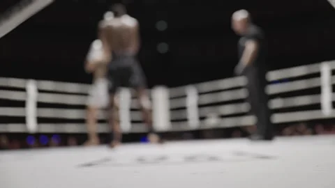 Blurred fighting championship in boxing ring with referee Stock Footage 309060048