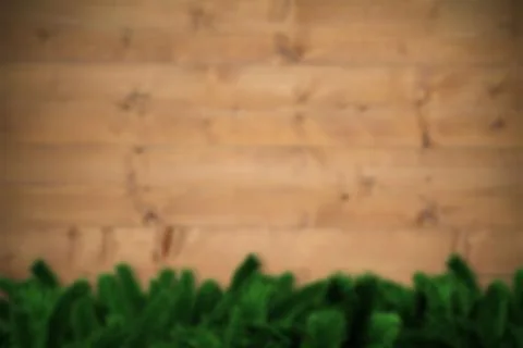 Blurred fir tree branches Stock Illustration