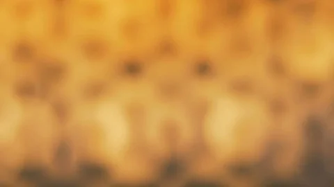 Blurred fire on a black background. Stock Footage 82504170