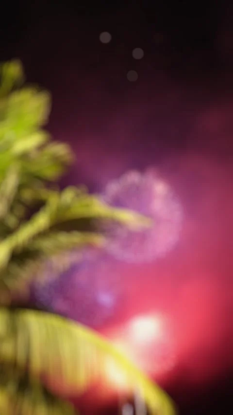 Blurred fireworks exploding in night sky behind palm trees silhouette. Stock Footage 341291025