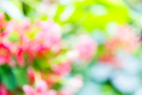 Blurred flower background Stock Photos