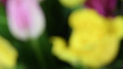 Blurred flowers Stock Footage 131398449