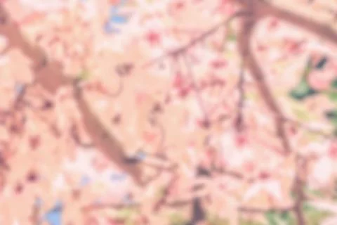 Blurred flowers Stock Photos