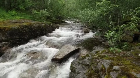 A blurred, flowing stream cascades over rocks, its white foam Stock Footage 321997325