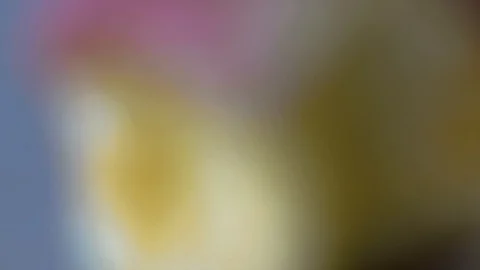 Blurred to focus red apple with missing a bite isolated on white background 스톡 동영상 107733640