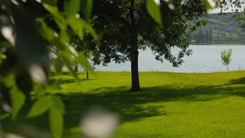 Blurred foliage framing a gorgeous lakeside park with soft green grass. Vídeos de archivo 337455409