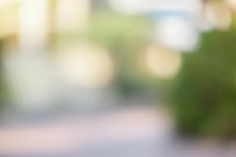 Blurred forest background Stock Photos