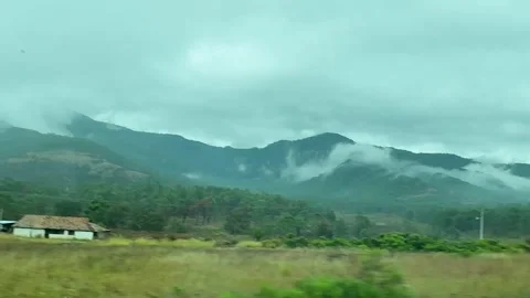 Blurred Forest View from Vehicle Stock Footage 296353676