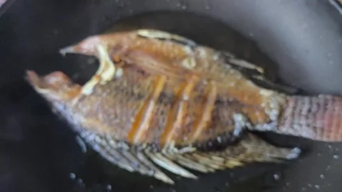 Blurred fry fish Stock-Footage 326375057