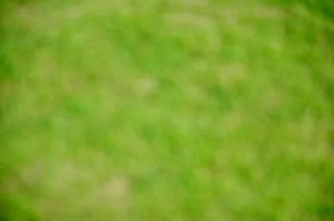 Blurred Grass background Stock Photos