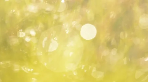 Blurred Grass Background With Water Drops bokeh. Stock Footage 44640871