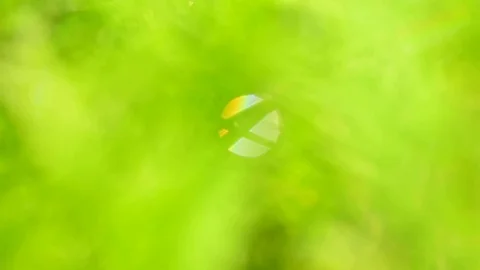 Blurred grass background. x shape bokeh light. Stock Footage 75131547