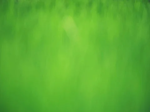 Blurred grass with dew drops in spring season. 库存影片 75845632