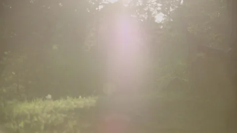 Blurred grass field Stockbeeldmateriaal 76553788