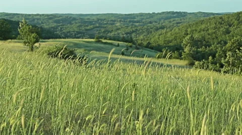 Blurred grass with green field and mountain background, HDR shot Video stock 46441210