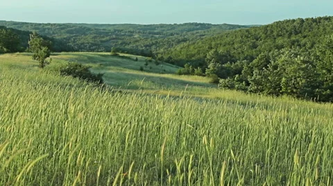 Blurred grass with green field and mountain background, HDR shot 스톡 동영상 46441575