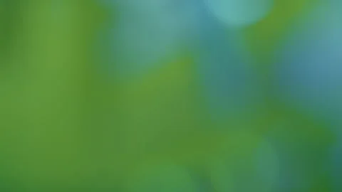 Blurred green and blue background, motion bokeh abstract background Stock Footage 175328514