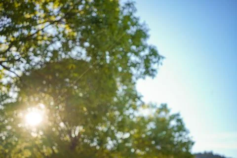 Blurred Green and Blue Background Stock Photos