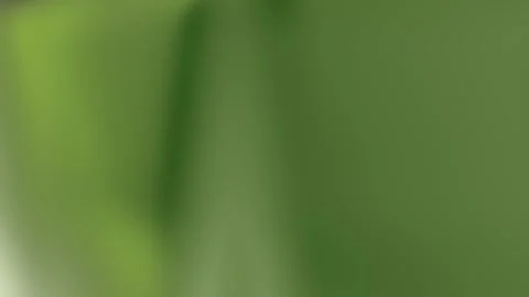 Blurred green and white gradient background. Stock Footage 296264330