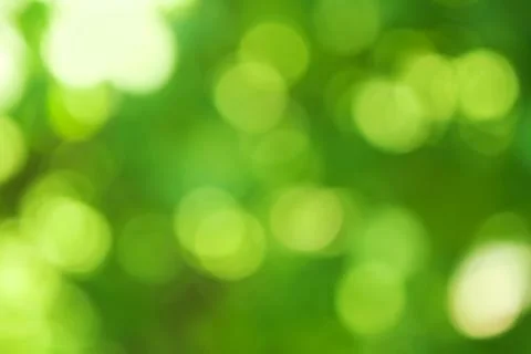 Blurred green background, bokeh effect Stock-Fotos