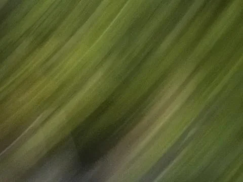 Blurred green background with directional diagonal lines and space for copy Stock Photos