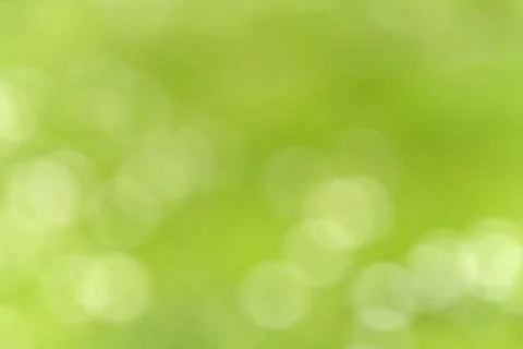 Blurred green background or texture with white bokeh Stock Photos