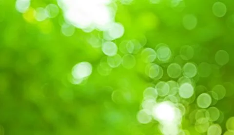 Blurred green background Foto stock