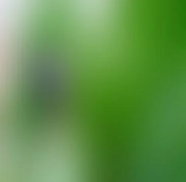 Blurred Green Background Stock Photos