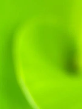 Blurred green background Stock Photos
