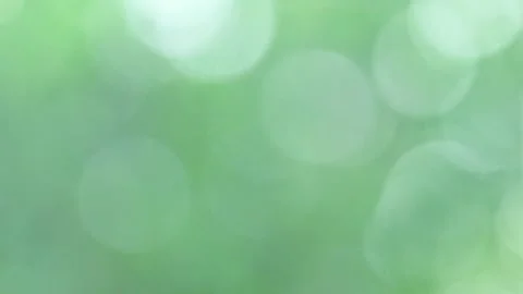 Blurred Green Bokeh Background Video stock 294627014