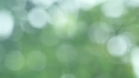 Blurred Green Bokeh Background Video stock 294627210