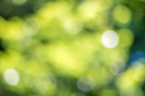 Blurred green dots background abstract bokeh Stock Photos
